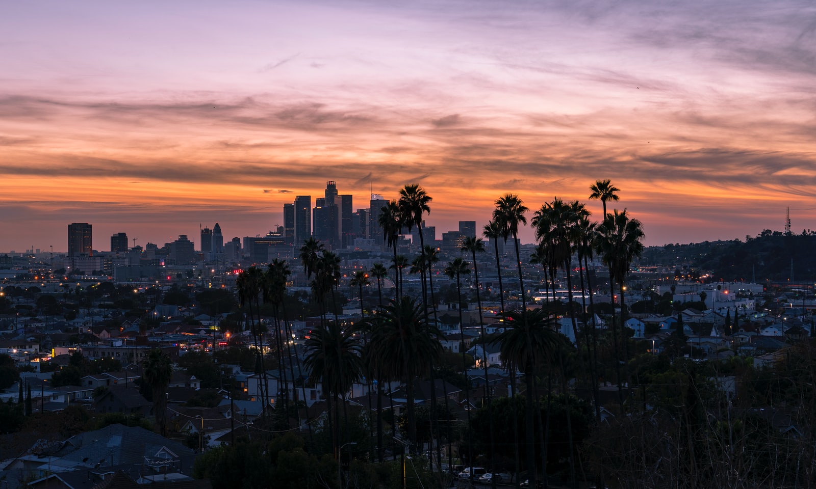 studying-in-los-angeles-pros-and-cons-of-studying-in-los-angeles